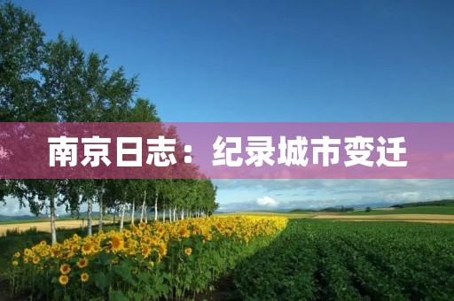 南京日志：纪录城市变迁，见证历史沧桑