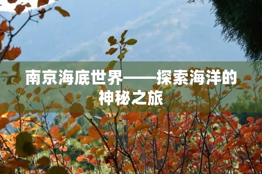 南京海底世界——探索海洋的神秘之旅 南京海底世界——探索海洋的神秘之旅