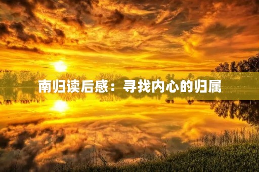 南归读后感：寻找内心的归属