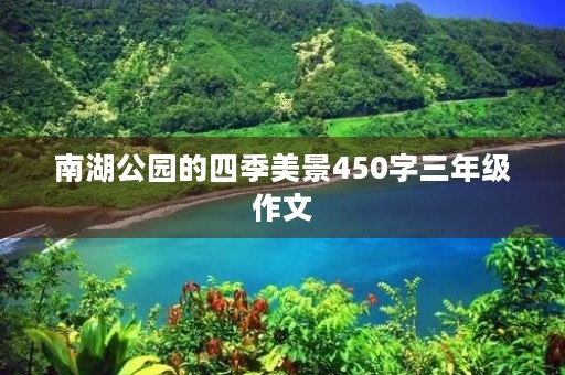 南湖公园的四季美景450字三年级作文 南湖公园的四季美景450字三年级作文
