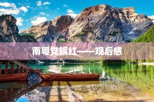 南粤党旗红——观后感 南粤党旗红——观后感