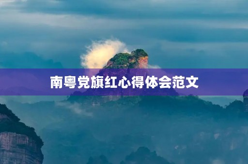 南粤党旗红心得体会范文