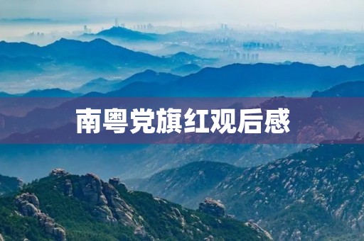 南粤党旗红观后感