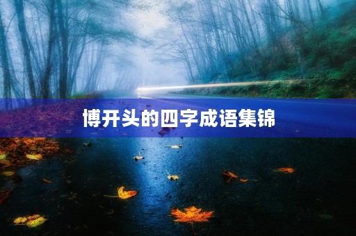 博开头的四字成语集锦