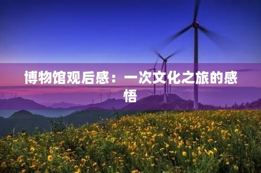 博物馆观后感：一次文化之旅的感悟