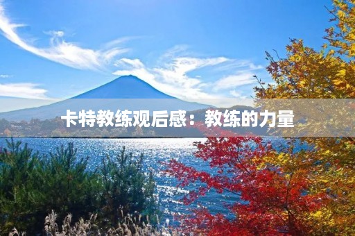 卡特教练观后感:教练的力量 卡特教练观后感:教练的力量