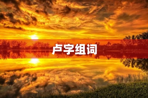 卢字组词(卢组词) 卢字组词(卢组词)