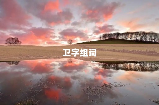 卫字组词(卫组词)