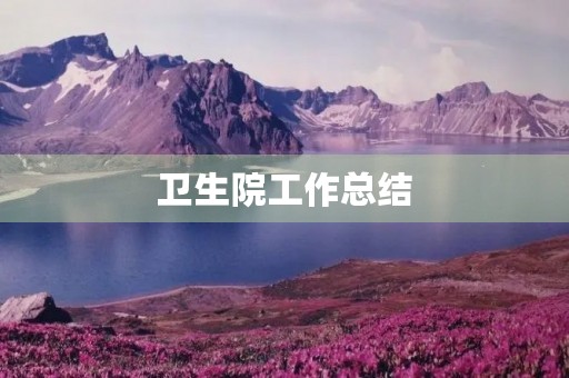 卫生院工作总结
