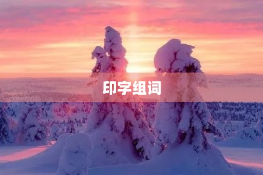 印字组词(印组词)
