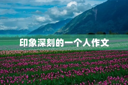印象深刻的一个人作文 印象深刻的一个人作文