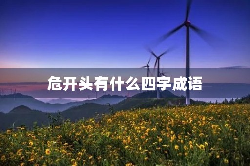 危开头有什么四字成语