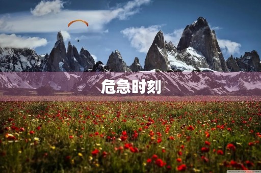 危急时刻，勇敢面对