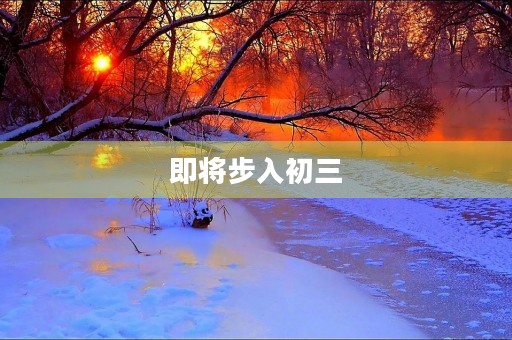 即将步入初三,我的心情 即将步入初三,我的心情