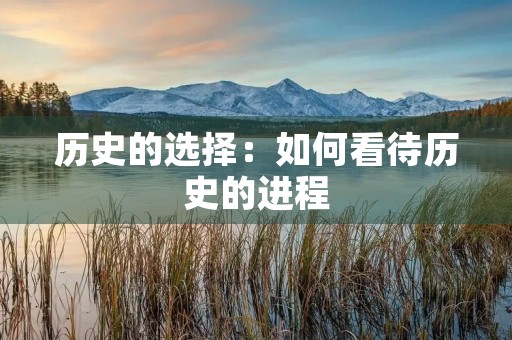 历史的选择：如何看待历史的进程