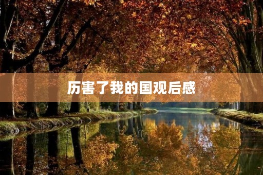 历害了我的国观后感 历害了我的国观后感