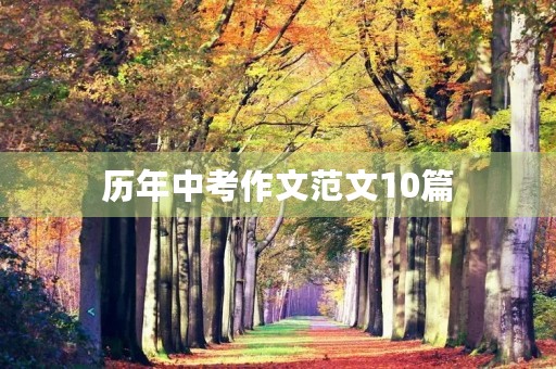 历年中考作文范文10篇