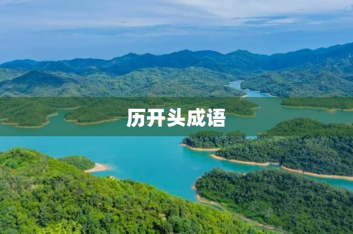 历开头成语 历开头成语