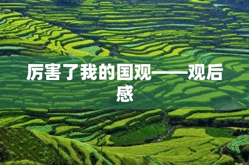 厉害了我的国观——观后感 厉害了我的国观——观后感