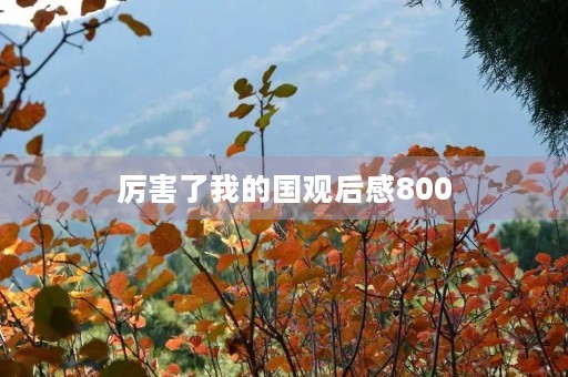 厉害了我的国观后感800
