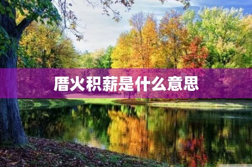 厝火积薪是什么意思