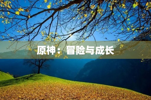 原神：冒险与成长