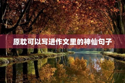 原耽可以写进作文里的神仙句子