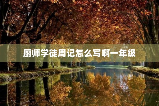 厨师学徒周记怎么写啊一年级