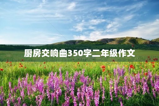 厨房交响曲350字二年级作文