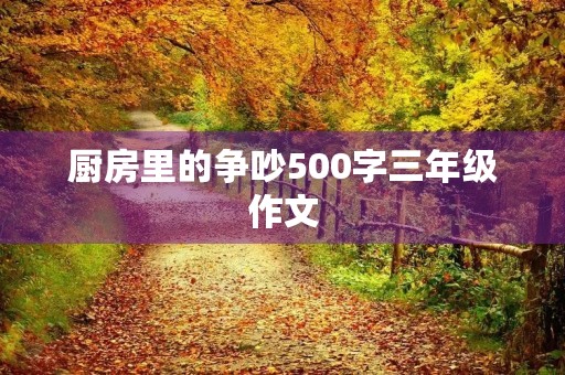 厨房里的争吵500字三年级作文