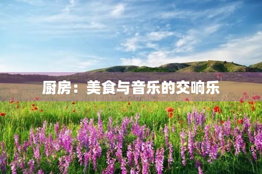 厨房：美食与音乐的交响乐