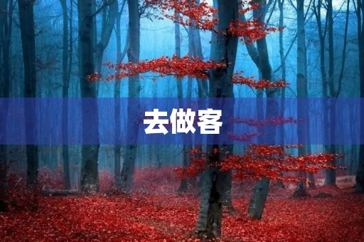 去做客 去做客