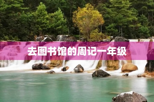 去图书馆的周记一年级