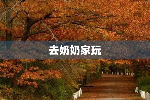 去奶奶家玩 去奶奶家玩