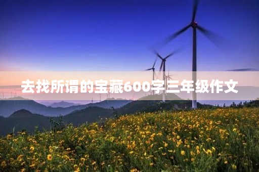 去找所谓的宝藏600字三年级作文 去找所谓的宝藏600字三年级作文