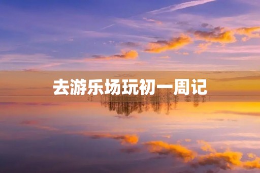 去游乐场玩初一周记