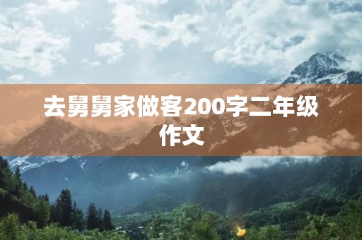 去舅舅家做客200字二年级作文