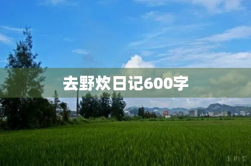 去野炊日记600字