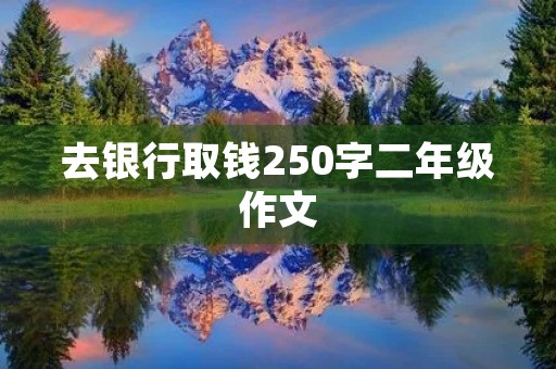 去银行取钱250字二年级作文