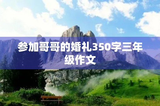 参加哥哥的婚礼350字三年级作文
