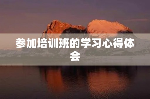参加培训班的学习心得体会