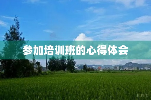 参加培训班的心得体会