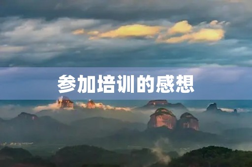 参加培训的感想