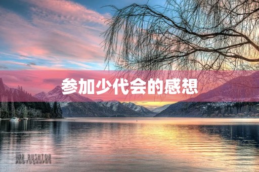 参加少代会的感想