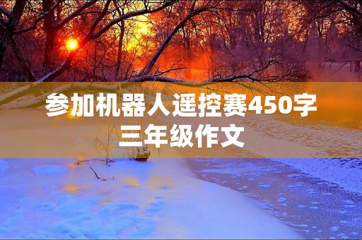 参加机器人遥控赛450字三年级作文