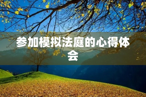 参加模拟法庭的心得体会