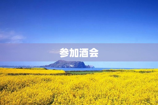 参加酒会 参加酒会