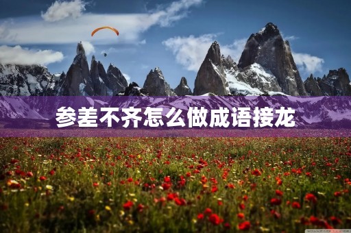 参差不齐怎么做成语接龙