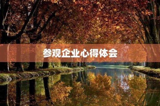 参观企业心得体会