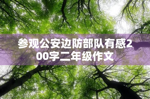 参观公安边防部队有感200字二年级作文
